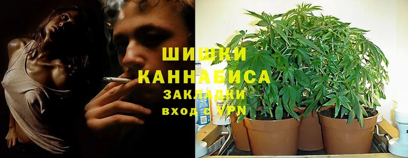 Каннабис Bruce Banner  Котово 